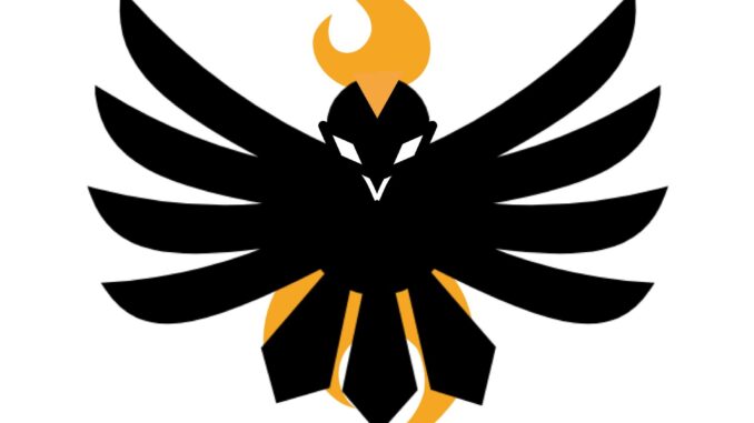 NIGHT PHOENIX GAMES